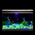 Glow-in-the-Dark Decorative Stones (100 Pcs) by Express Essentials