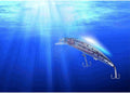 LED Fishing Lure by Express Essentials